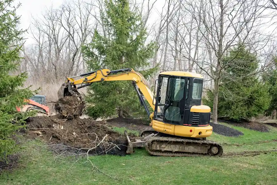 Experienced Stump Removal Darien, GA