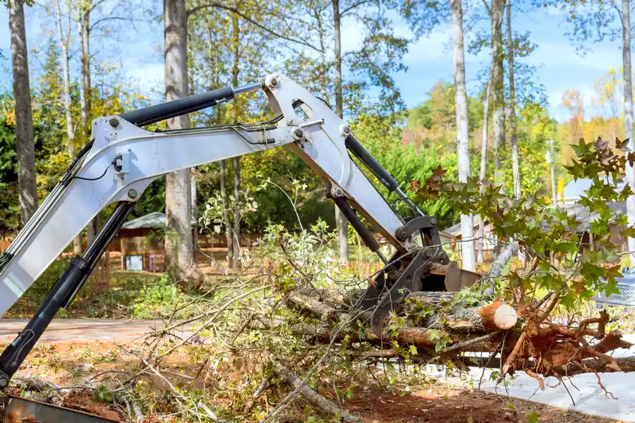 Local Land Clearing Darien, GA Local Land Clearing Darien, GA