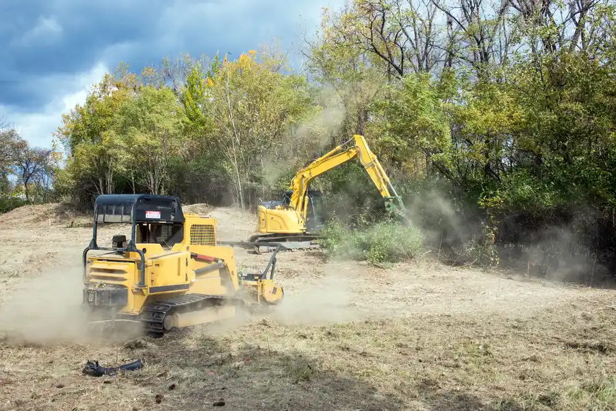 Premium Land Clearing Darien, GA Premium Land Clearing Darien, GA